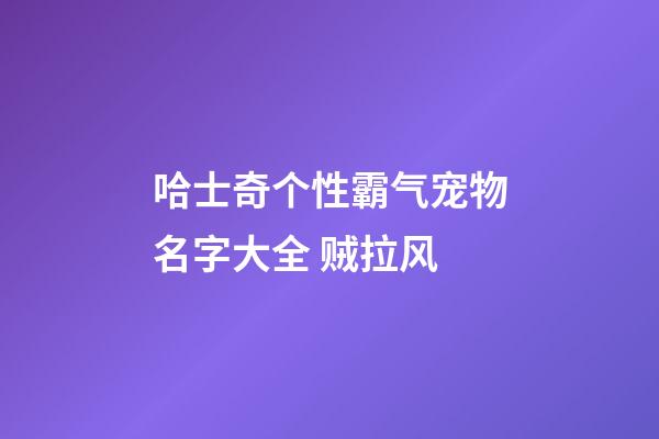 哈士奇个性霸气宠物名字大全 贼拉风